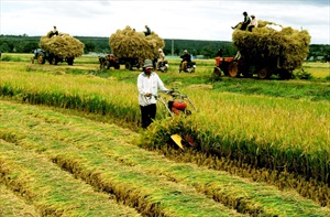 Giáo dục sử dụng hiệu quả đất sản xuất nông nghiệp trên địa bàn xã Thanh Liên, huyện Thanh Chương, tỉnh Nghệ An