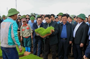 THỦ TƯỚNG PHẠM MINH CHÍNH VÀ BỘ TRƯỞNG BỘ NN&PTNT XUỐNG ĐỒNG CẤY LÚA CÙNG NÔNG DÂN