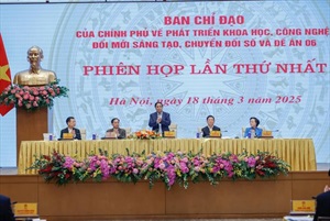 Cuộc họp lần thứ nhất của Ban Chỉ đạo Chính phủ về phát triển khoa học công nghệ, đổi mới sáng tạo, chuyển đổi số và Đề án 06.