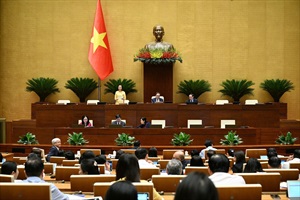 Quốc hội bàn thảo chính sách miễn học phí và phổ cập giáo dục mầm non