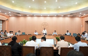 Hà Nội huy động tổng lực làm sạch - đẹp Thủ đô chào mừng 80 năm Cách mạng Tháng Tám và Quốc khánh 2-9