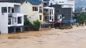 Bộ GD&ĐT báo cáo tình hình thiệt hại do mưa lũ tại Nam Trung Bộ, Tây Nguyên và triển khai hỗ trợ khẩn cấp cho ngành giáo dục