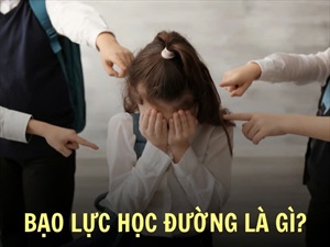 CƠ SỞ TÂM LÝ CỦA HÀNH VI VI PHẠM PHÁP LUẬT TRONG LỨA TUỔI THANH NIÊN HỌC ĐƯỜNG
