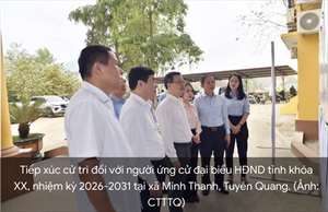 Đội ngũ nhà giáo tỉnh Tuyên Quang tham gia ứng cử đại biểu Quốc hội khóa XVI: Tăng cường tính đại diện của thực tiễn giáo dục trong hoạt động lập pháp